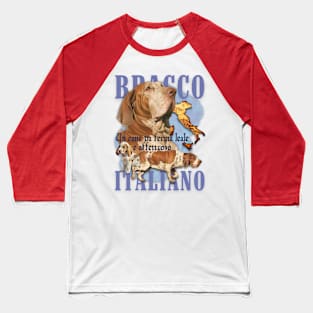 Bracco Italiano Profile Baseball T-Shirt